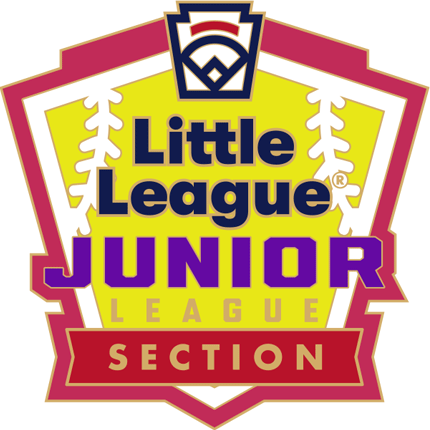 Junior League Softball Pin Series - Section - New Logo | Wilson Trophy