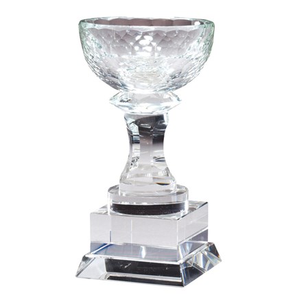 https://www.wilsontrophy.com/assets/1/18/dimregular/cry445.jpg