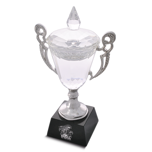 Custom Crystal Trophies To Celebrate Success | Wilson Trophy