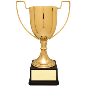 CZC700 Series - Full-Metal Cup Gold