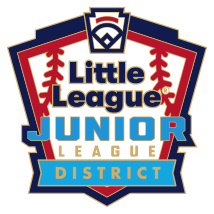 Junior League Baseball Pin Series - District - New Logo