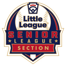 Senior League Baseball Pin Series - Section - New Logo