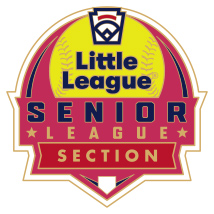 Senior League Softball Pin Series - Section - New Logo