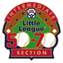 50/70 Intermediate Baseball Pin Series - Section - New Logo