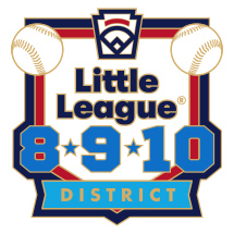 8-9-10 Year Old Baseball Pin Series - District - New Logo