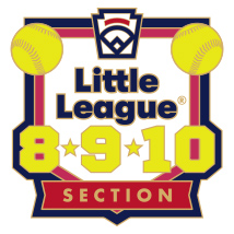8-9-10 Year Old Softball Pin Series - Section - New Logo