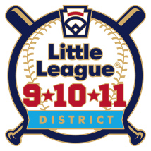 9-10-11 Year Old Baseball Pin Series - District - NEW LOGO