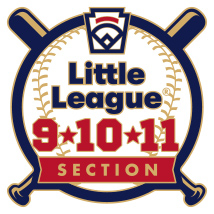 9-10-11 Year Old Baseball Pin Series - Section - New Logo