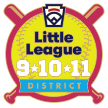 9-10-11 Year Old Softball Pin Series - District - New Logo