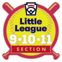 9-10-11 Year Old Softball Pin Series - Section - New Logo