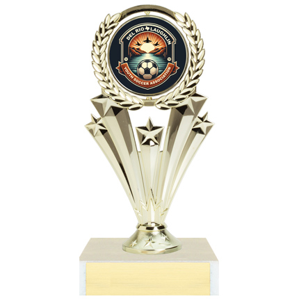 FIGURE TROPHY SERIES - INSERT